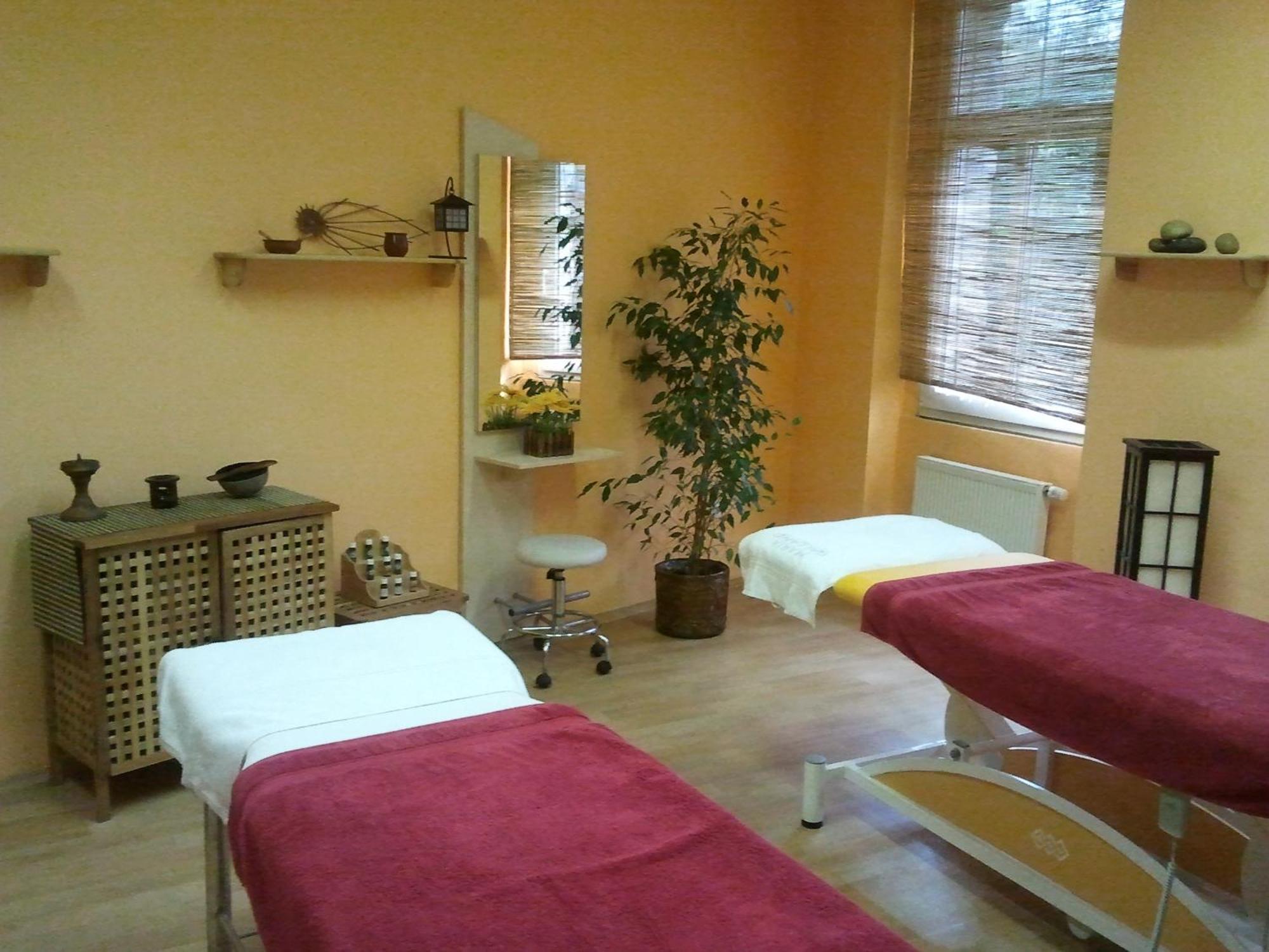 טפליצה Saraya Wellness & Penzion מראה חיצוני תמונה